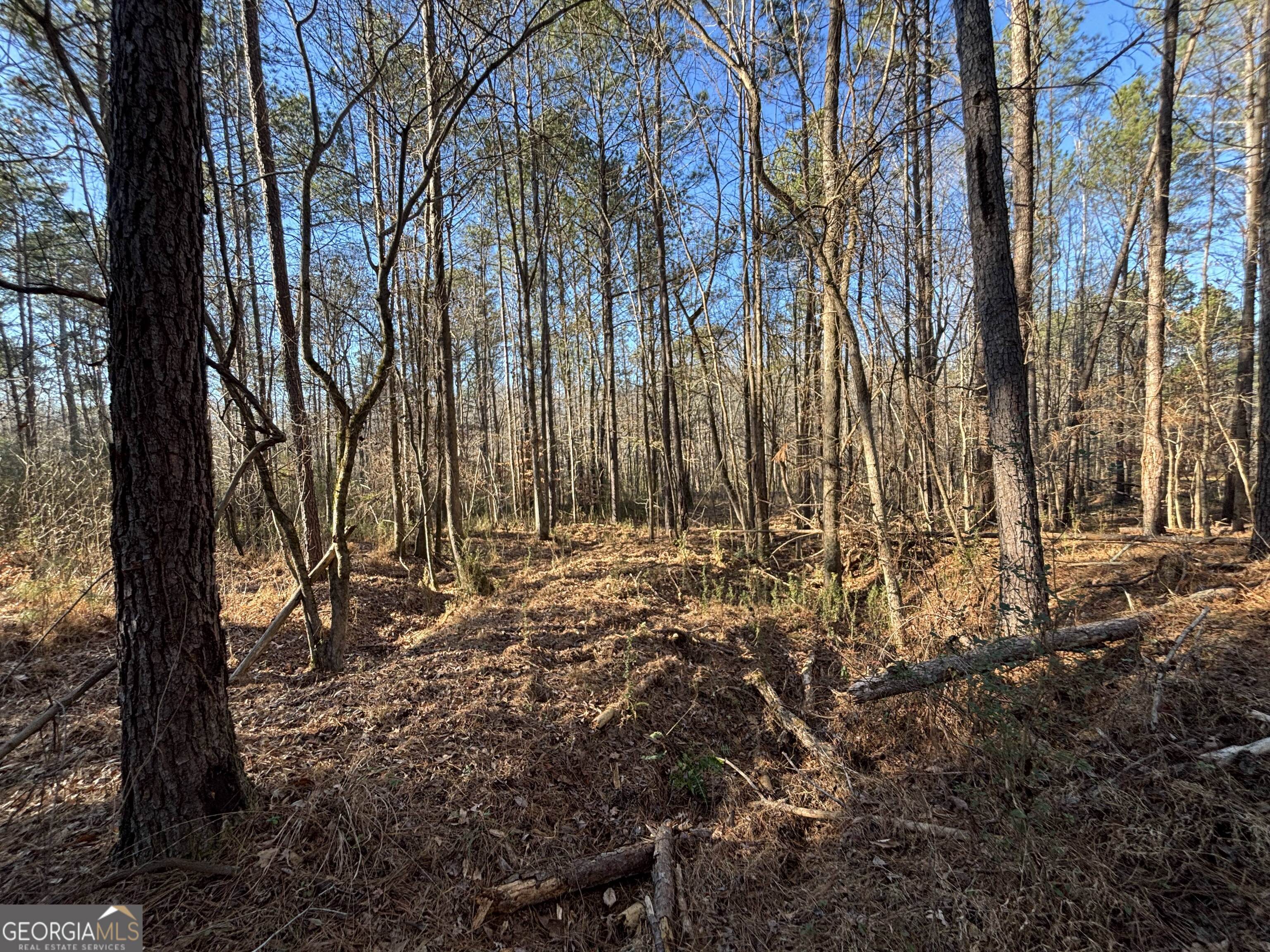 0 Baldwin Dairy Road Buckhead, GA 30625 - Photo 11 of 18