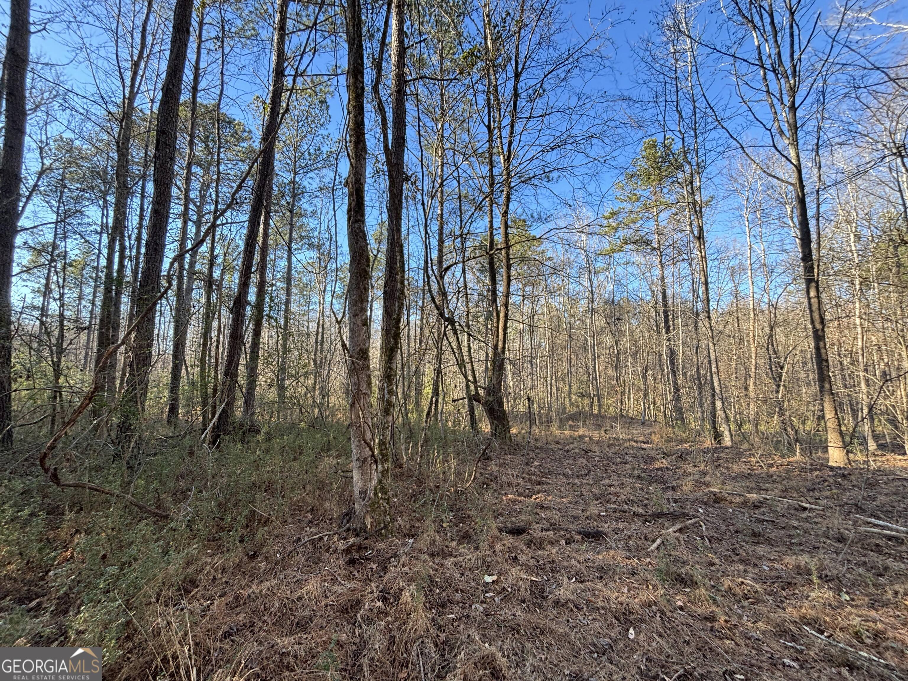 0 Baldwin Dairy Road Buckhead, GA 30625 - Photo 12 of 18