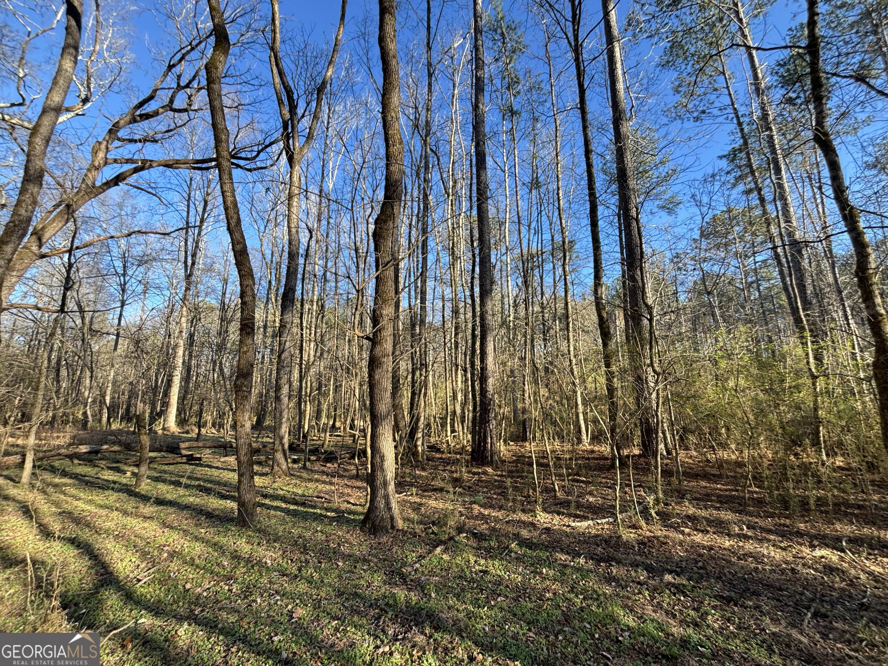 0 Baldwin Dairy Road Buckhead, GA 30625 - Photo 15 of 18