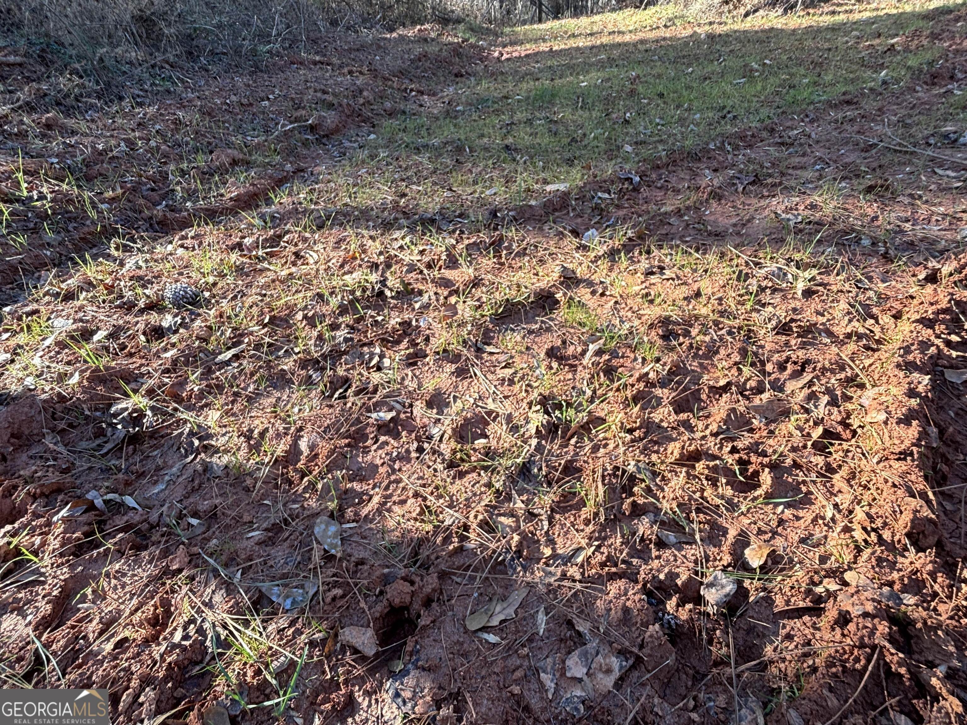 0 Baldwin Dairy Road Buckhead, GA 30625 - Photo 16 of 18