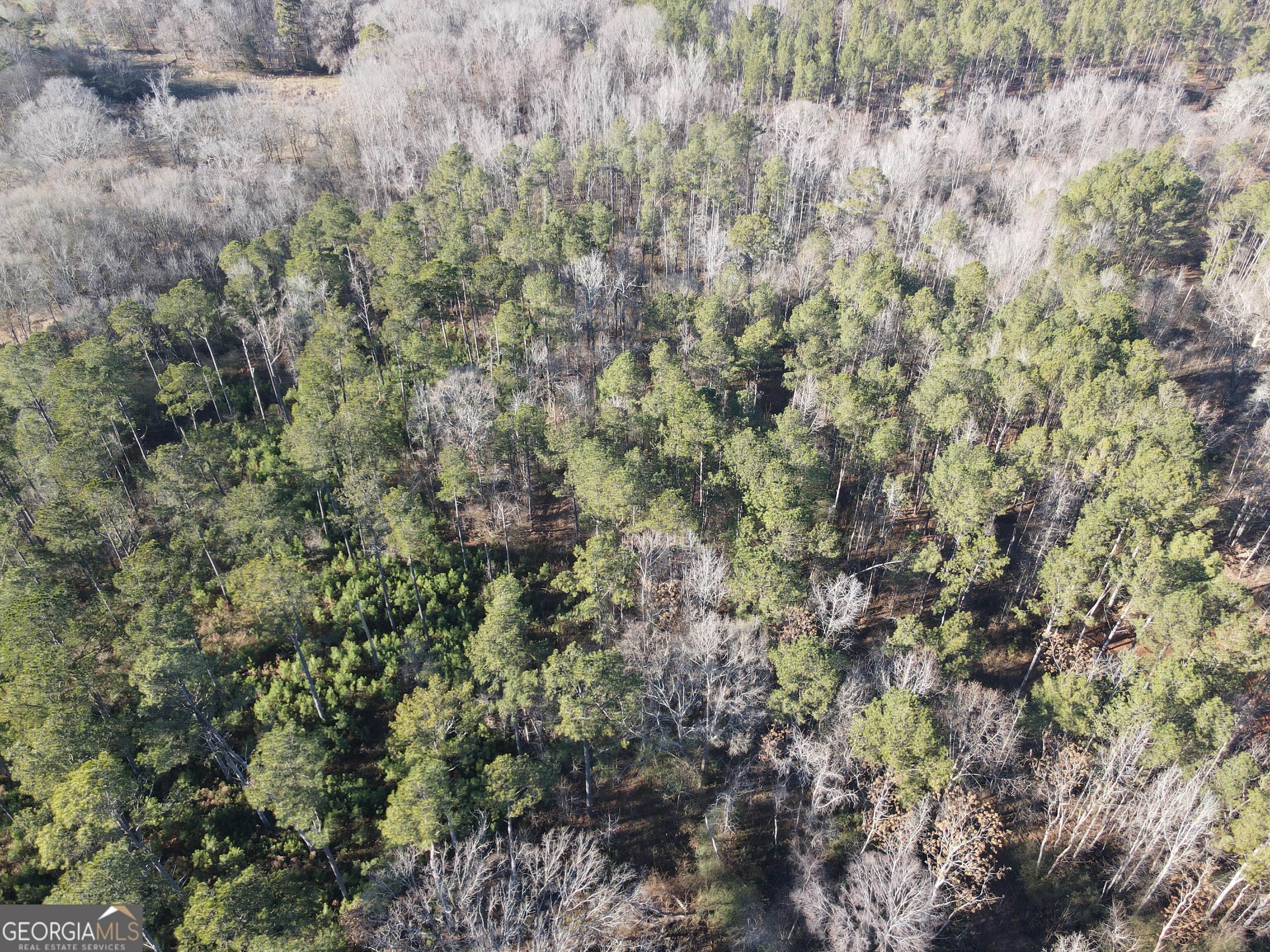 0 Baldwin Dairy Road Buckhead, GA 30625 - Photo 3 of 18