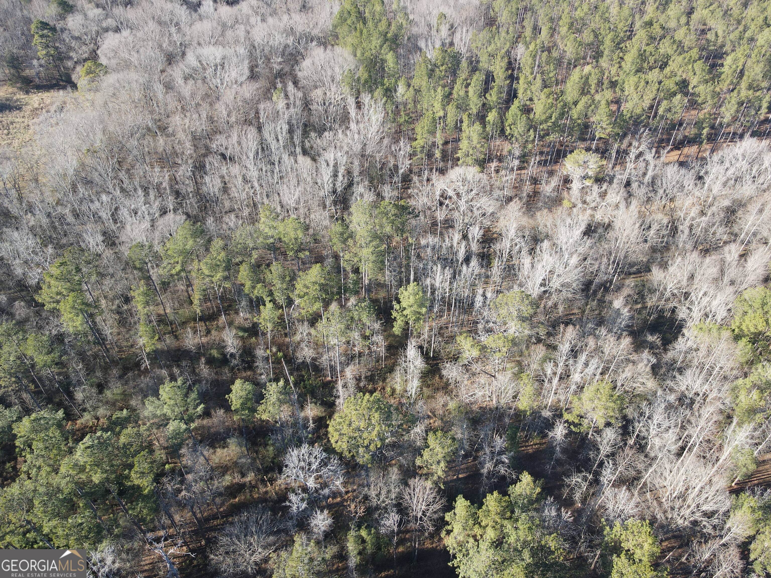 0 Baldwin Dairy Road Buckhead, GA 30625 - Photo 4 of 18