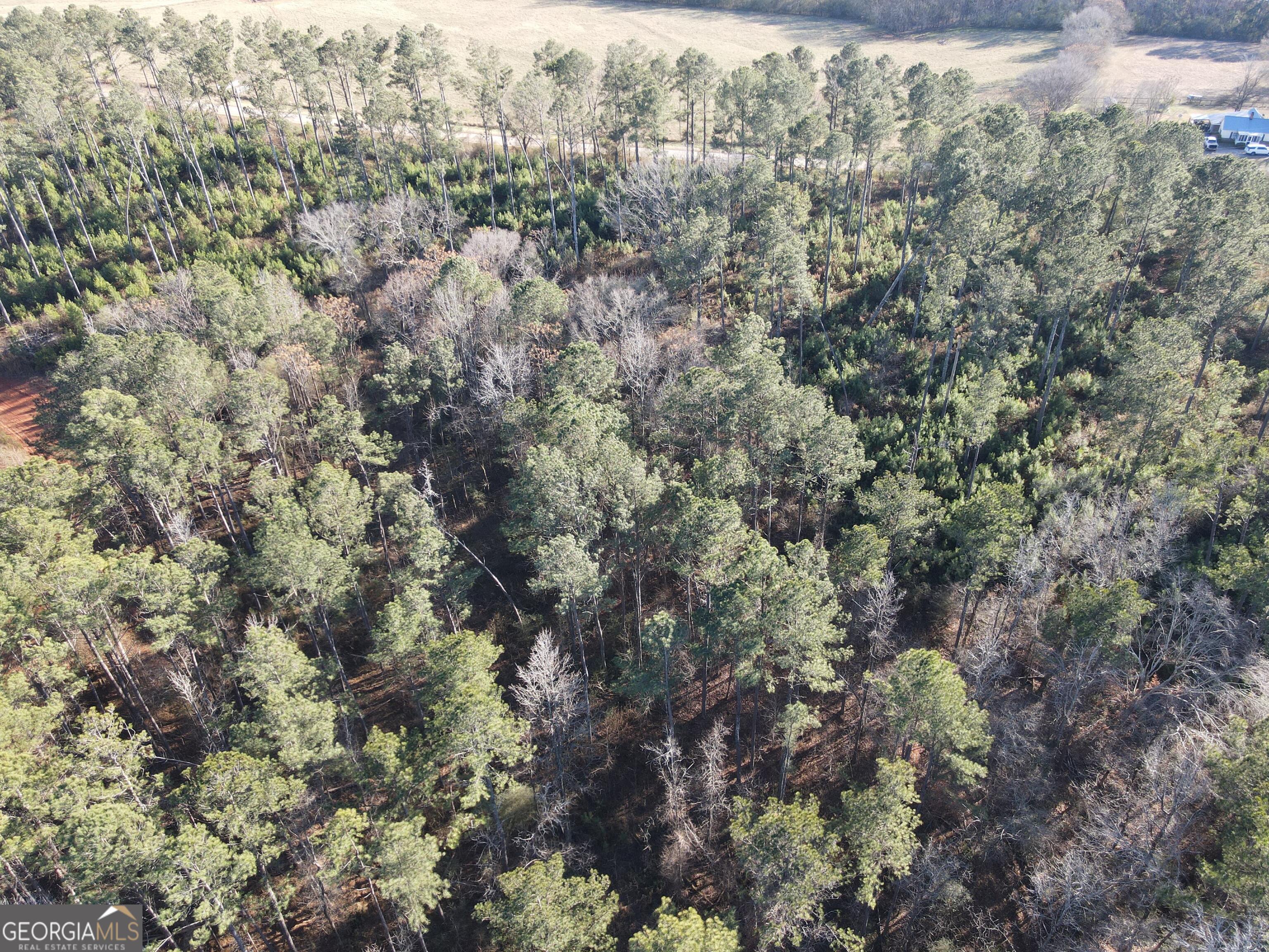 0 Baldwin Dairy Road Buckhead, GA 30625 - Photo 5 of 18