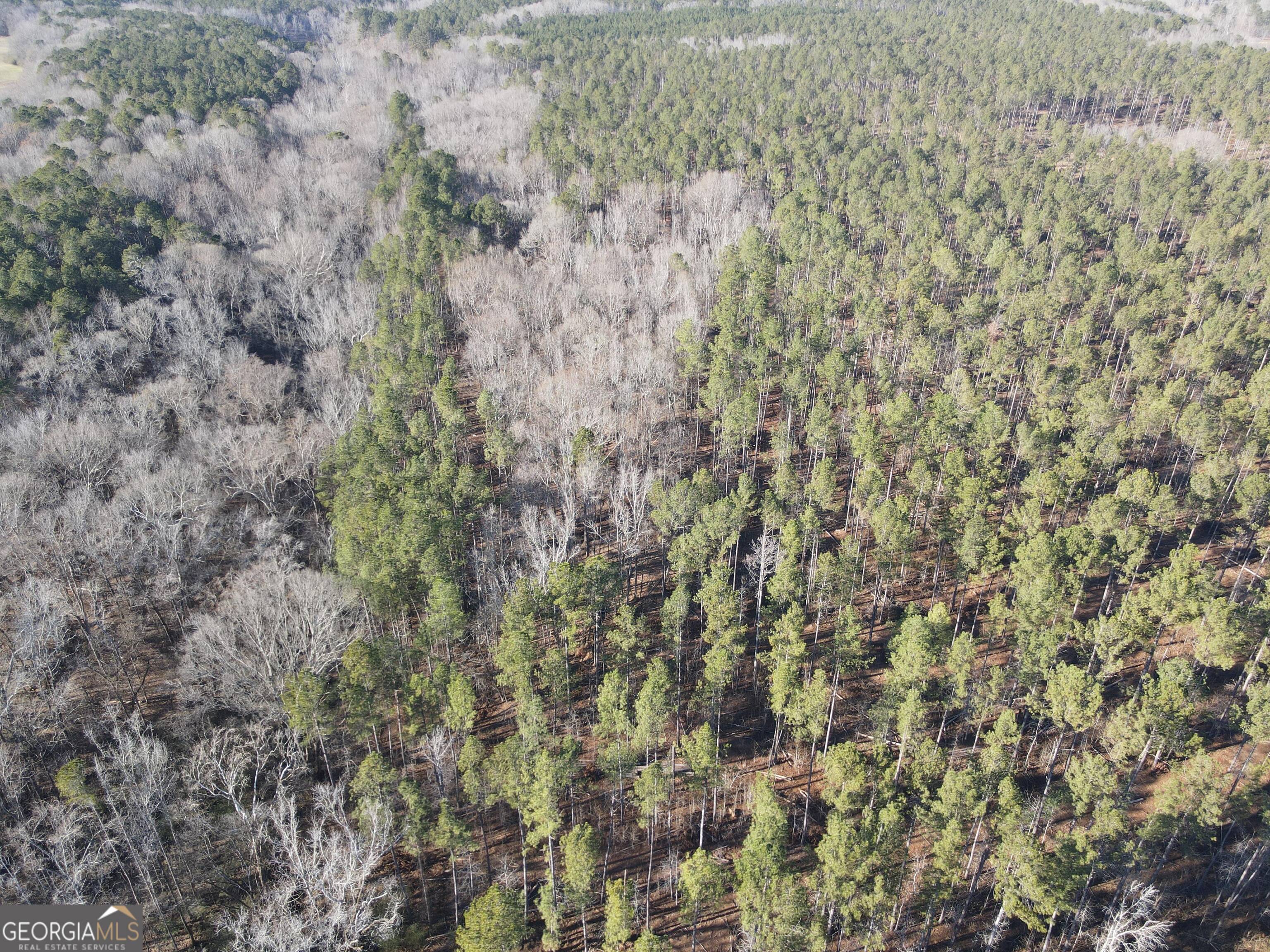 0 Baldwin Dairy Road Buckhead, GA 30625 - Photo 6 of 18