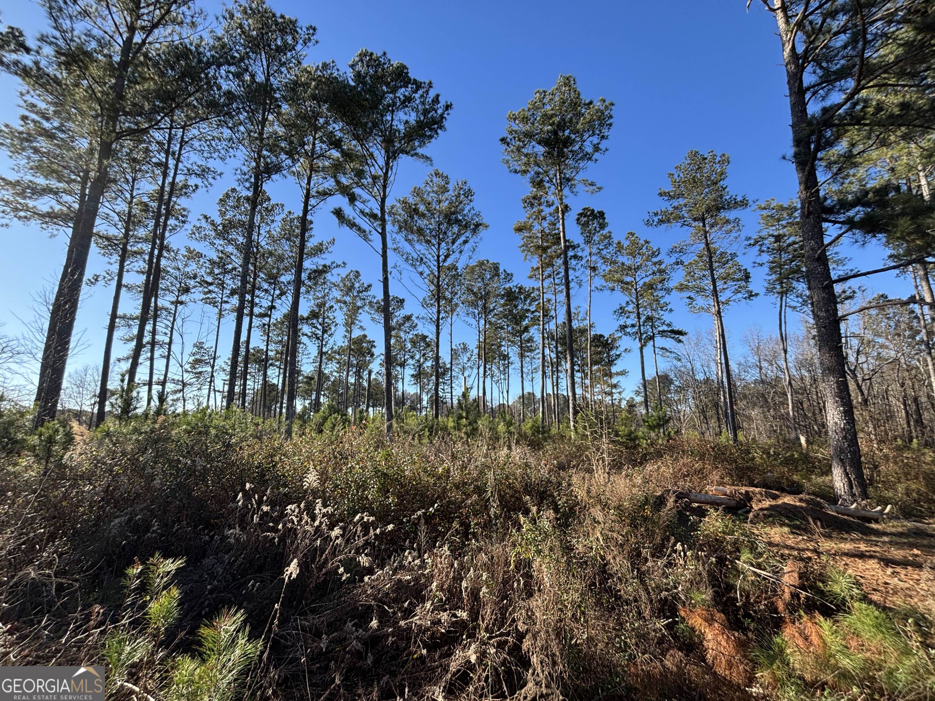 0 Baldwin Dairy Road Buckhead, GA 30625 - Photo 8 of 18