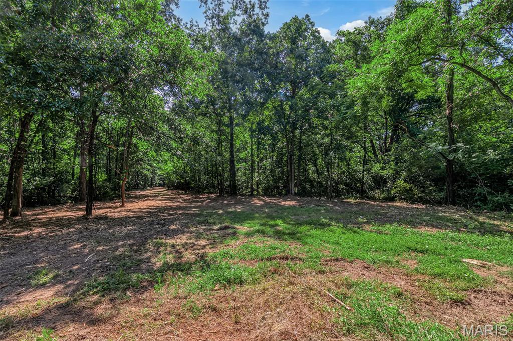 671 Birkhead Road Winfield, MO 63389 - Photo 11 of 23