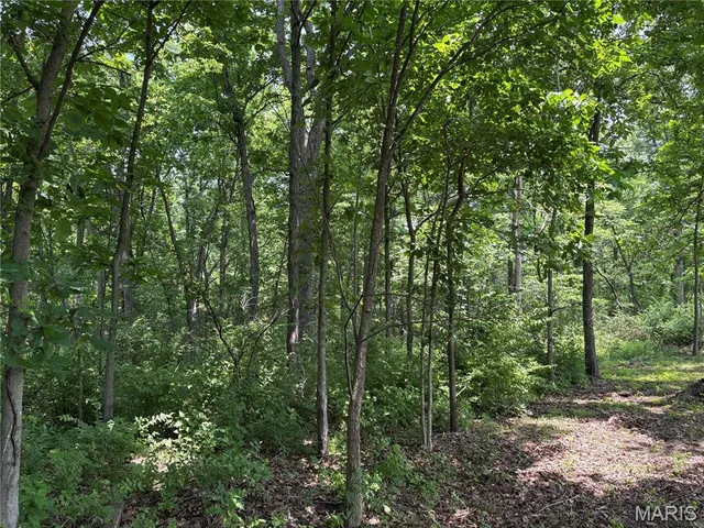 $1,200,000 | 671 Birkhead Road, Winfield, MO 63389