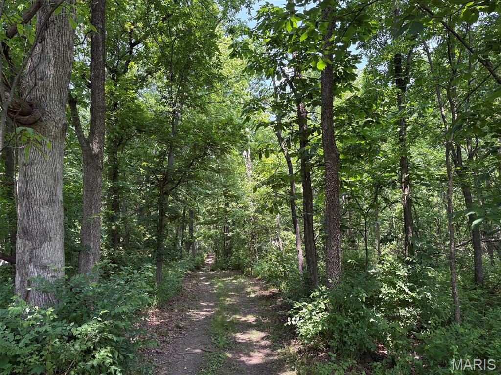 671 Birkhead Road Winfield, MO 63389 - Photo 5 of 23