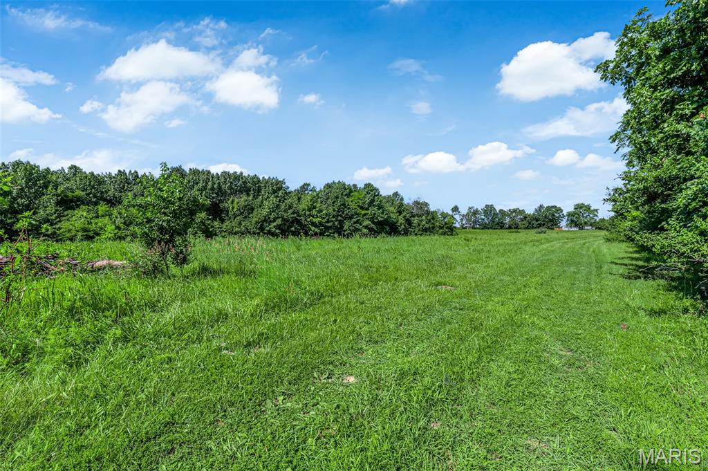 671 Birkhead Road Winfield, MO 63389 - Photo 6 of 23