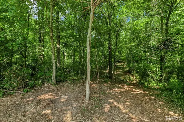 $1,200,000 | 671 Birkhead Road, Winfield, MO 63389