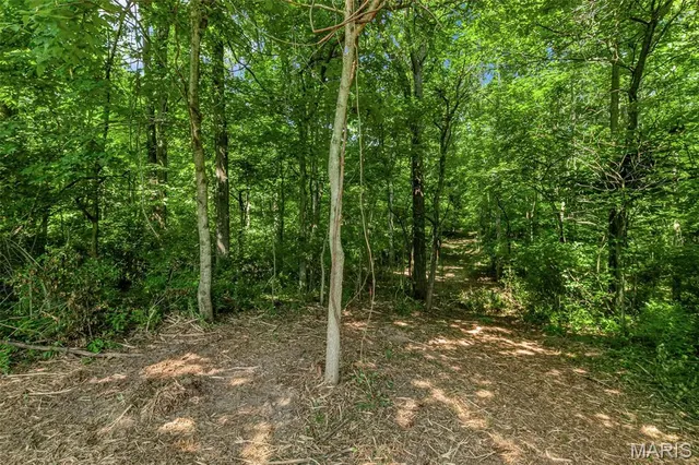 $1,200,000 | 671 Birkhead Road, Winfield, MO 63389