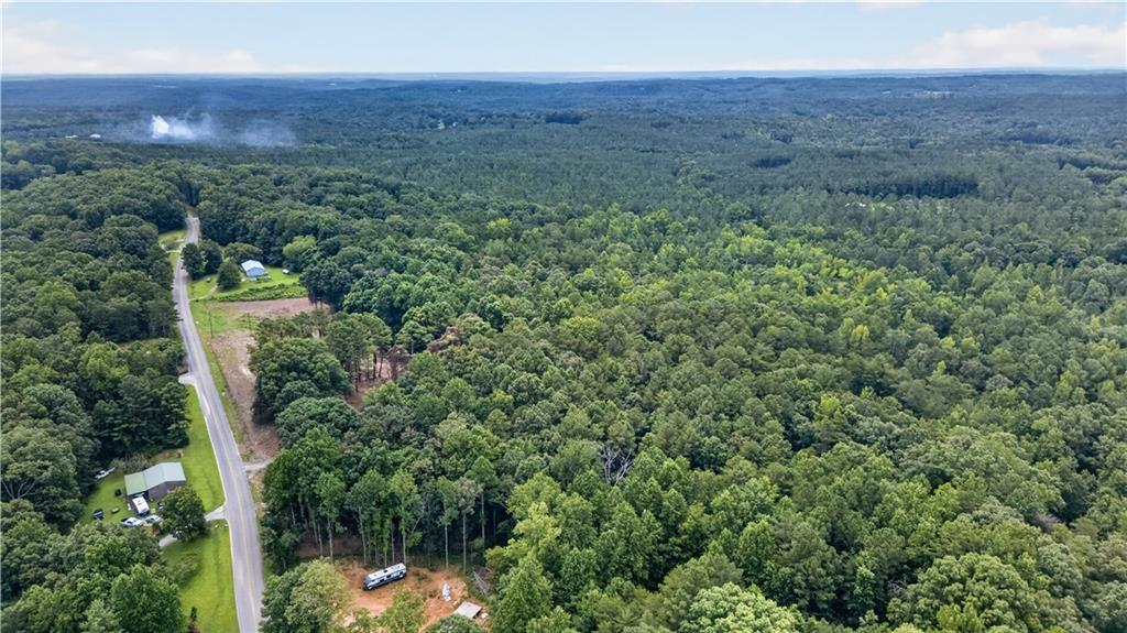 758 Lower Dowda Mill Road Jasper, GA 30143 - Photo 13 of 20 Gallery Image 13