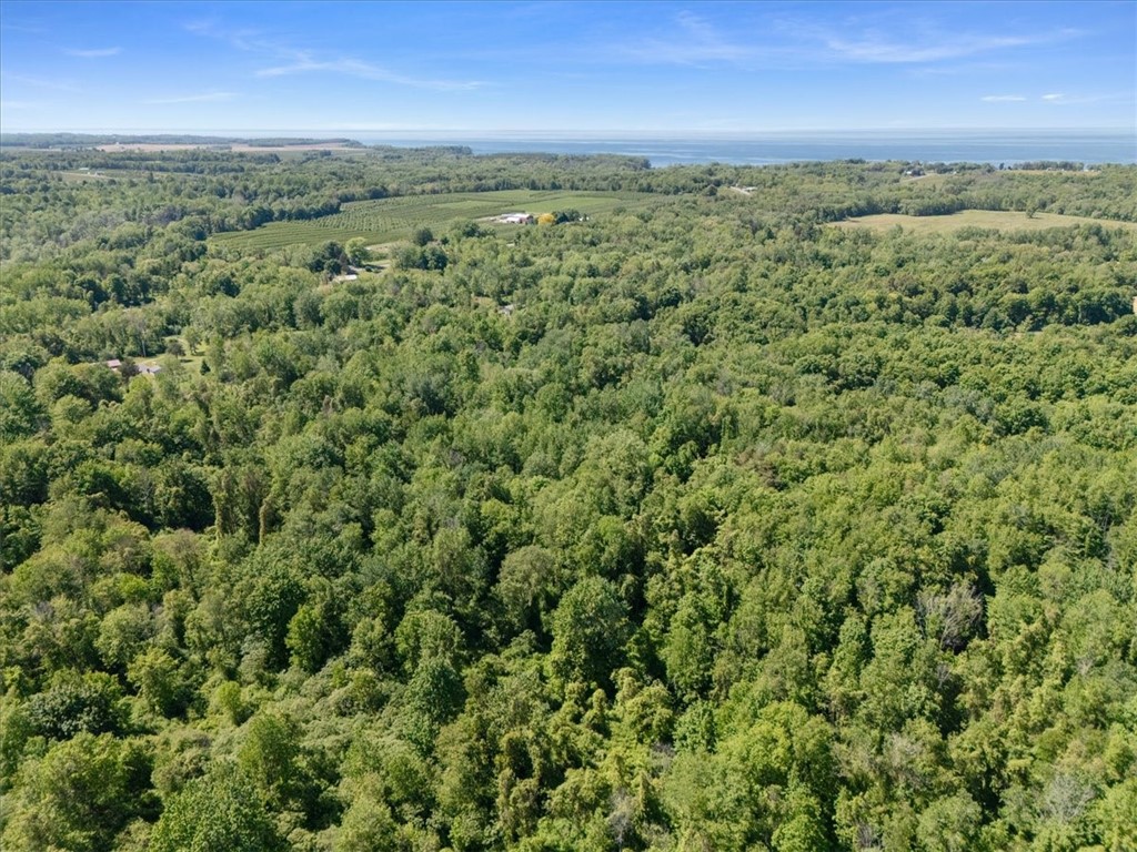 Geneva Road Sodus, NY 14551 - Photo 25 of 34