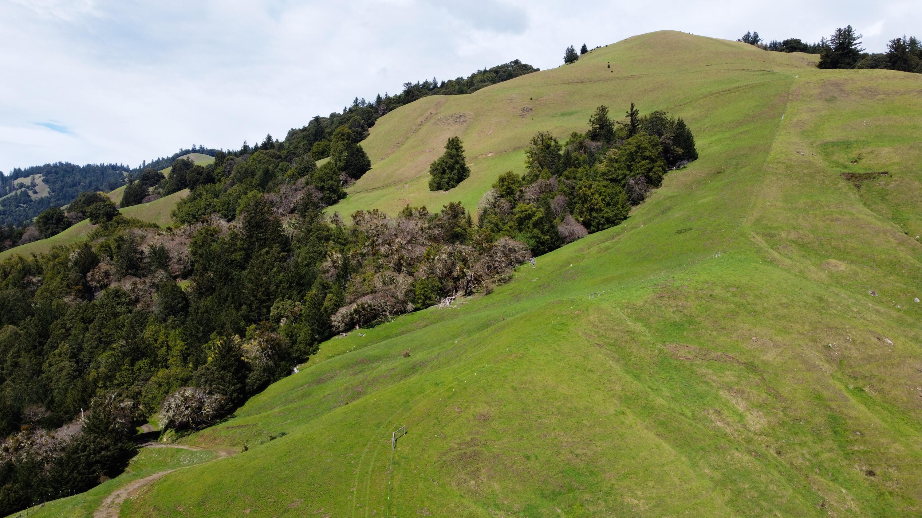 4001 Conklin Creek Road Ferndale, CA 95536 - Photo 92 of 125