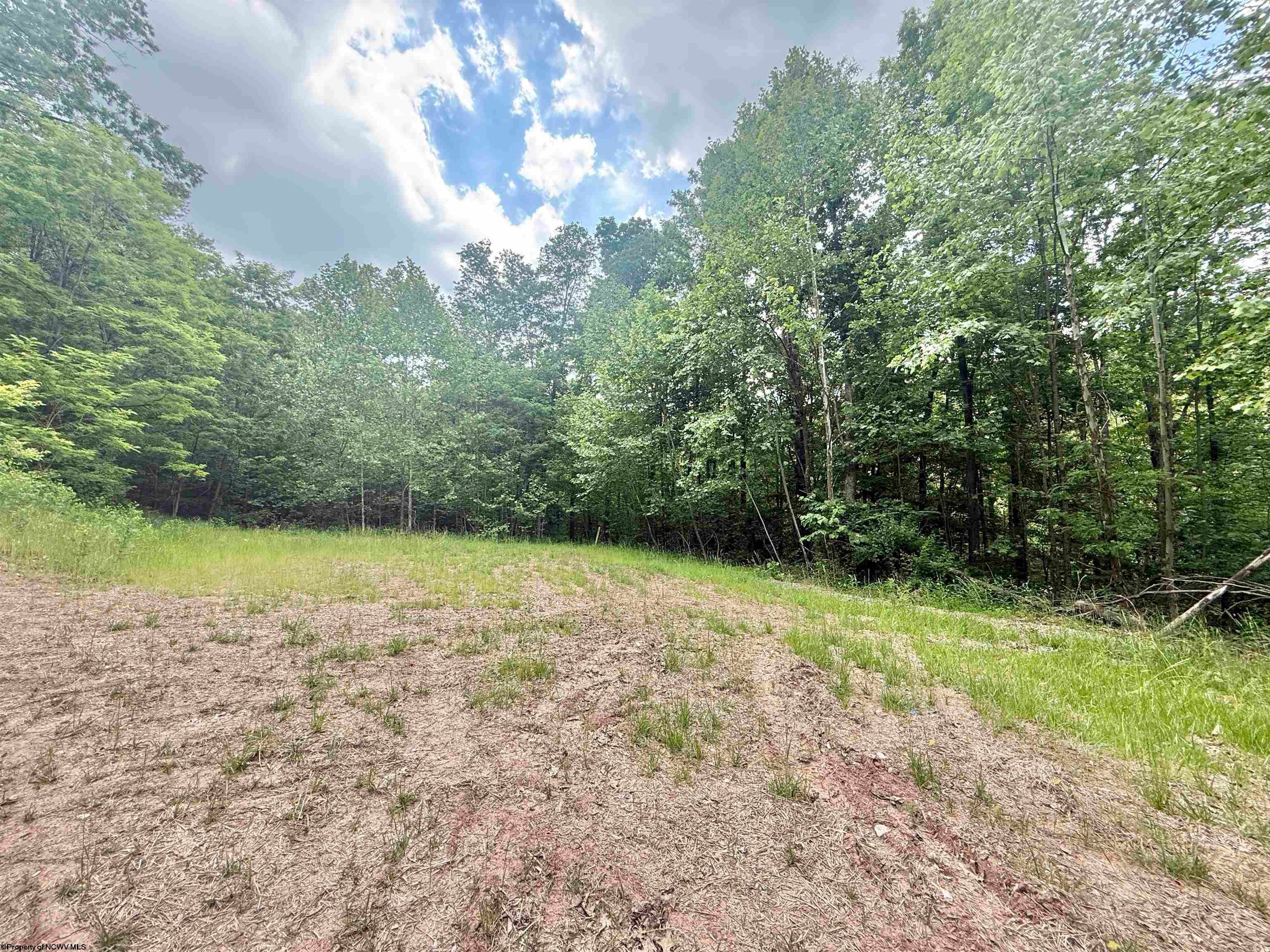 Tbd Big Pigeon Road Procious, WV 25164 - Photo 24 of 49 Gallery Image 24