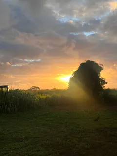 $299,000 | Eggerking Road, Unit 3, Kapaa, HI 96746