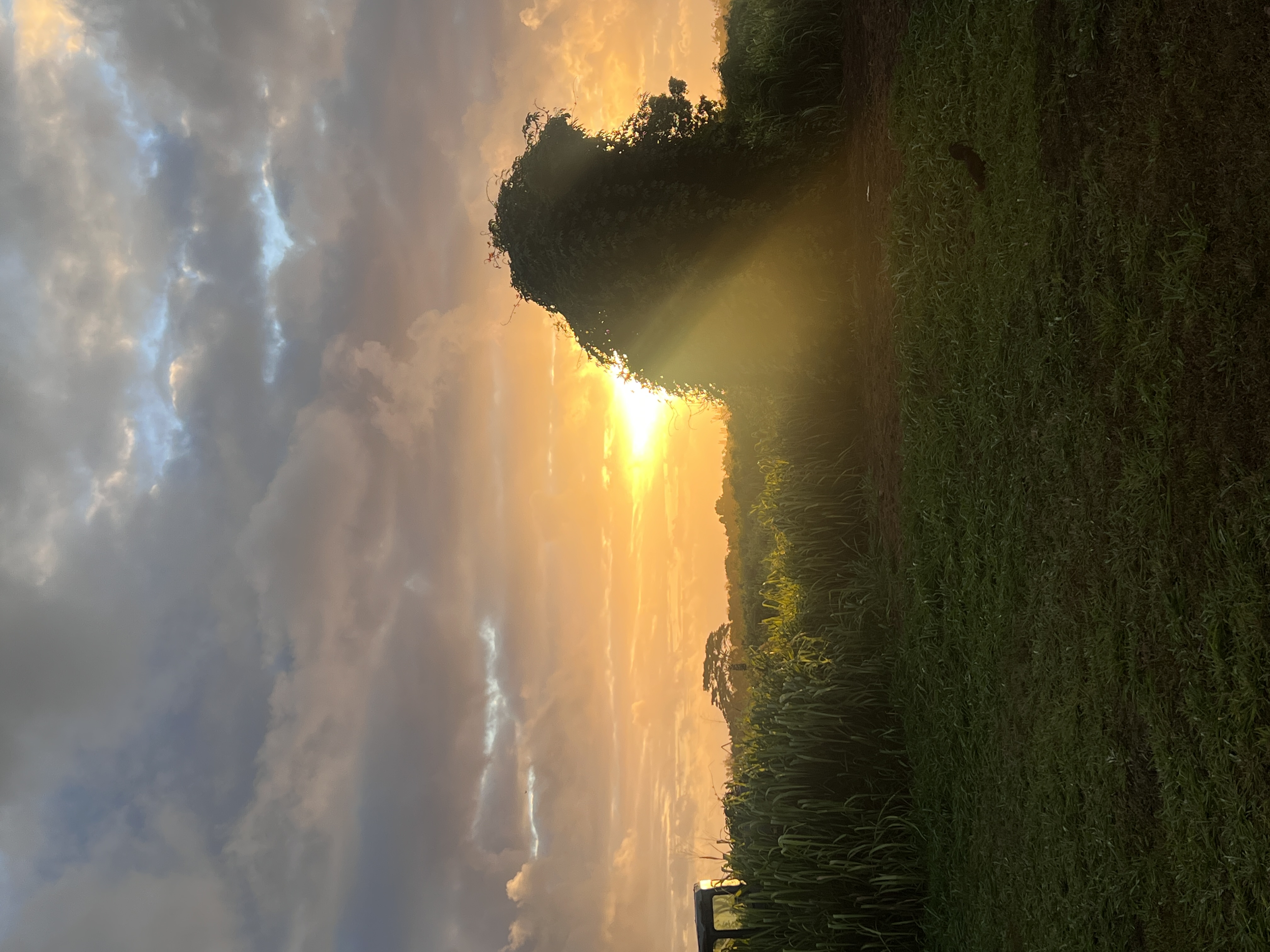 Eggerking Road, Unit 3 Kapaa, HI 96746 - Photo 15 of 16