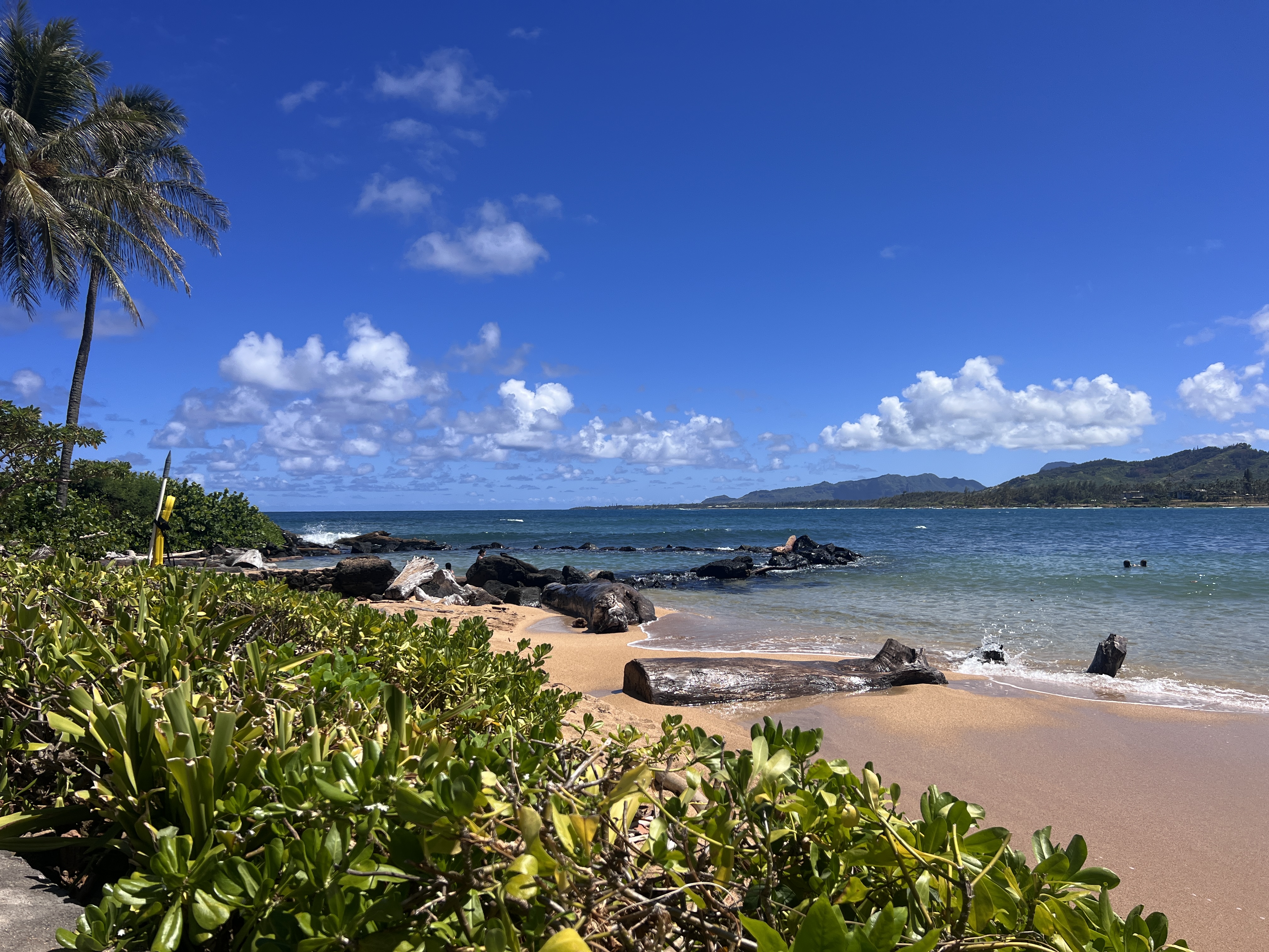 Eggerking Road, Unit 3 Kapaa, HI 96746 - Photo 9 of 16