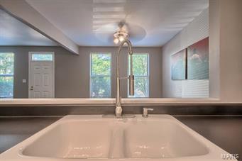 2334 Rutger Street, Unit A St. Louis, MO 63104 - Photo 5 of 21