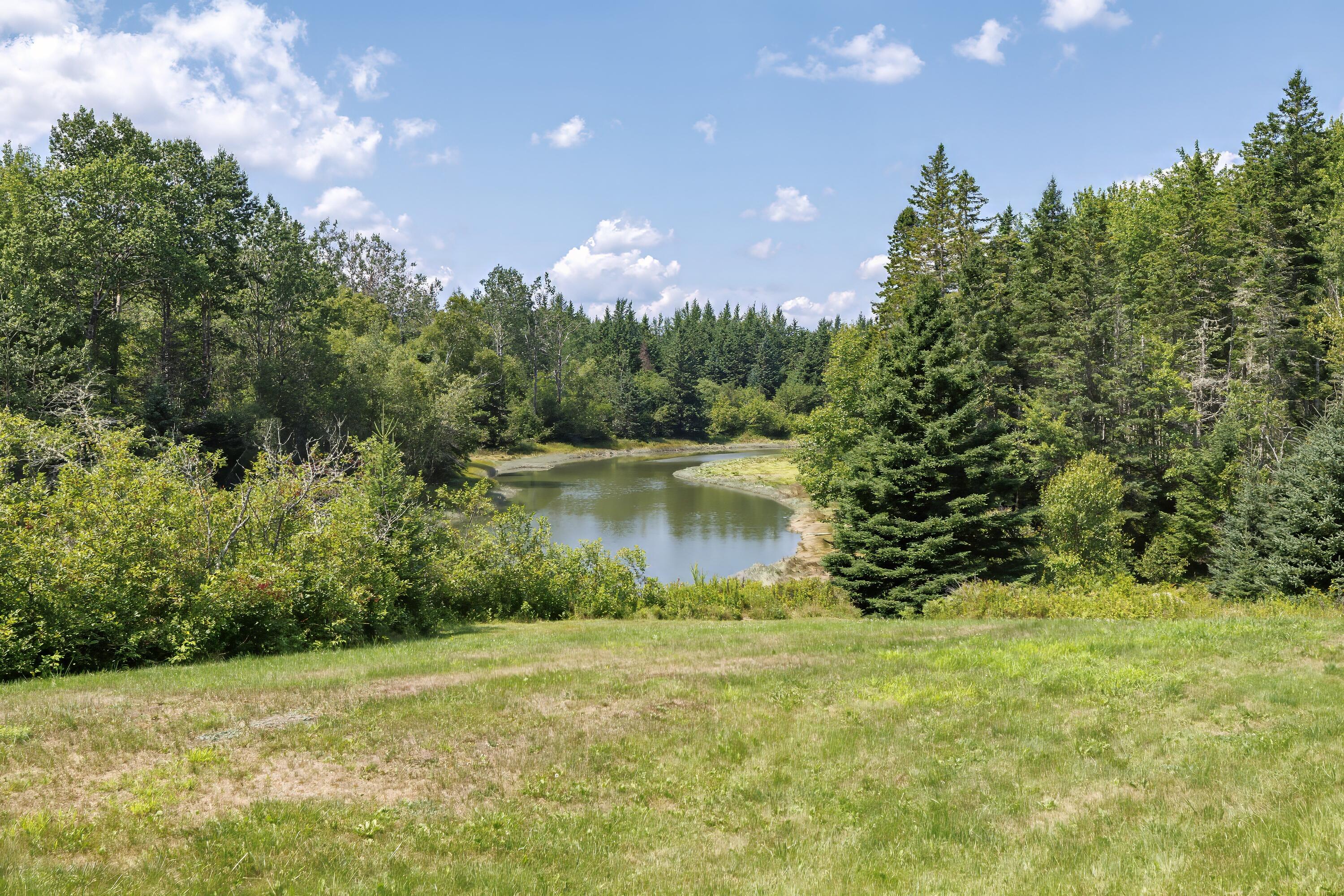 469 Dyer's Bay Road Steuben, ME 04680 - Photo 33 of 62 32 - 469 Dyer Bay Road HiRes - DTP