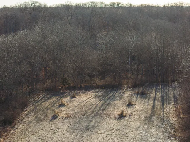 $493,000 | 0 1250 1250 N Avenue, Tiskilwa, IL 61368