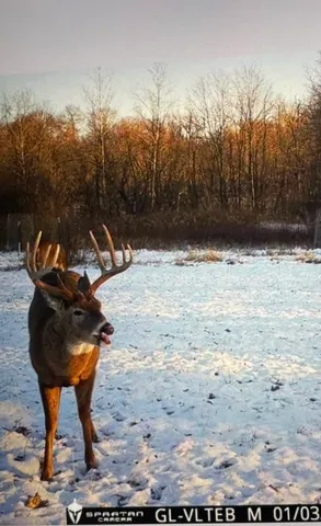 $493,000 | 0 1250 1250 N Avenue, Tiskilwa, IL 61368