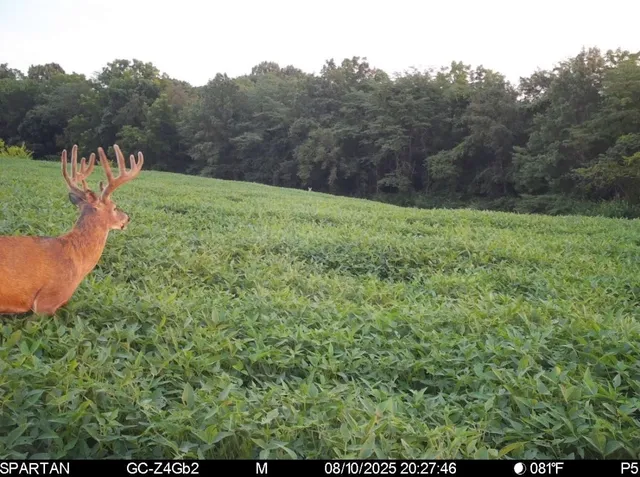 $493,000 | 0 1250 1250 N Avenue, Tiskilwa, IL 61368