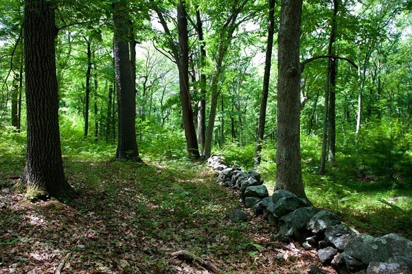 35 Huckleberry Hill Road Lincoln, MA 01773 - Photo 11 of 20 Gallery Image 11