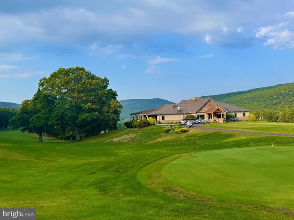 a view of a grassy field with an trees