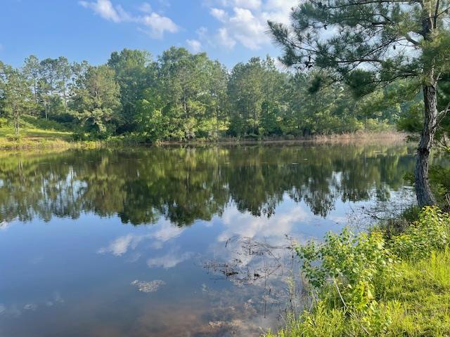 2 Tract 2 Of 620 George Wise Road Picayune, MS 39466 - Photo 1 of 1 Gallery Image 1