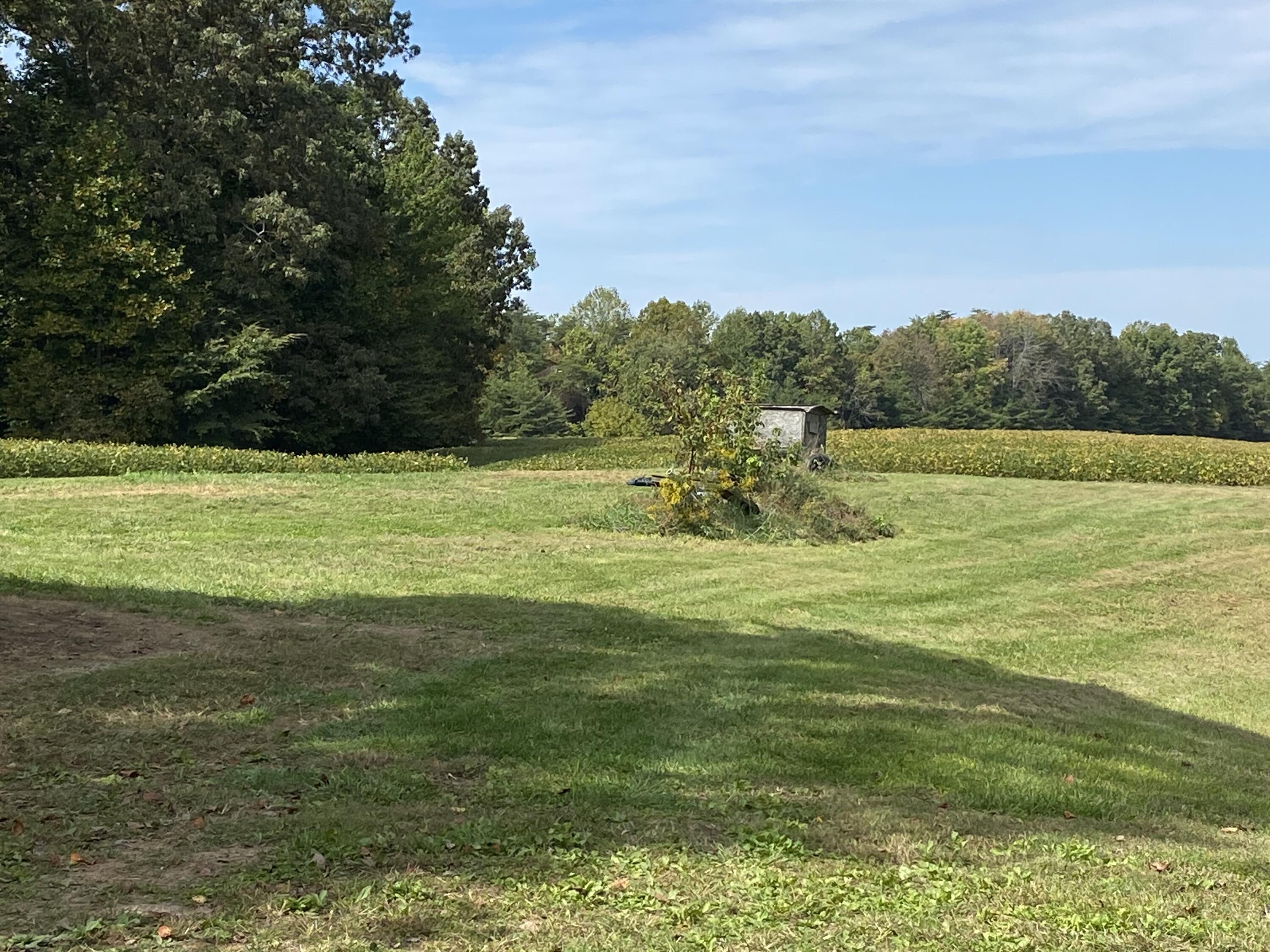 1250 Todd Road Jamestown, KY 42629 - Photo 74 of 76 IMG_0197