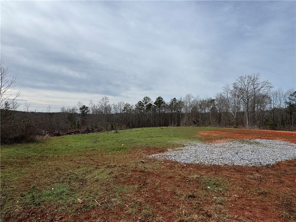 0 South Thornton Road Camp Hill, AL 36850 - Photo 27 of 37 Gallery Image 27