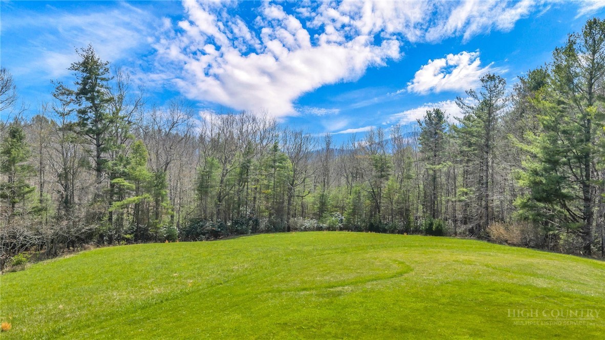 294 Old Ridge Road Crumpler, NC 28617 - Photo 3 of 37