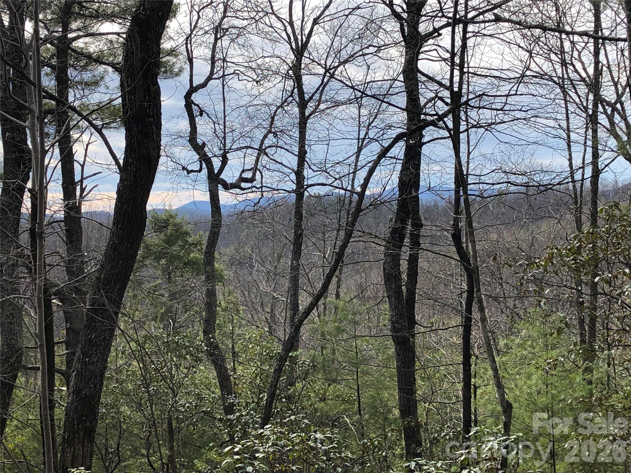 Tbd Blue Rock Road, Unit 171 & 172B Purlear, NC 28665 - Photo 19 of 44