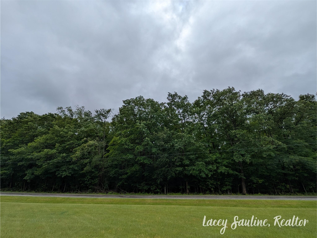 0 West Finkle Road Cadillac, MI 49601 - Photo 12 of 21