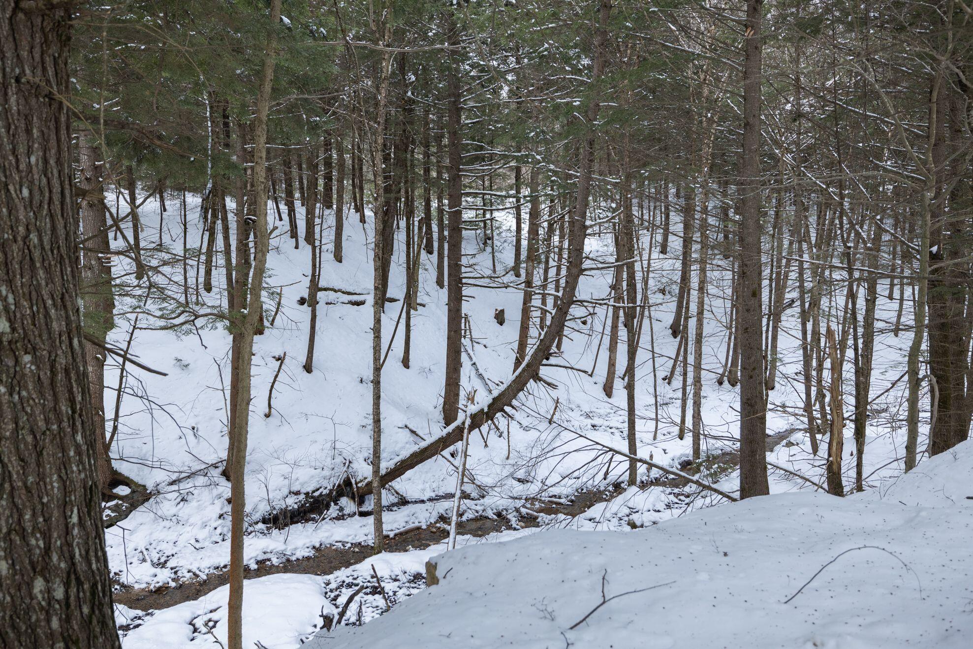 Tbd Saddleback Road West Baldwin, ME 04091 - Photo 3 of 8 2
