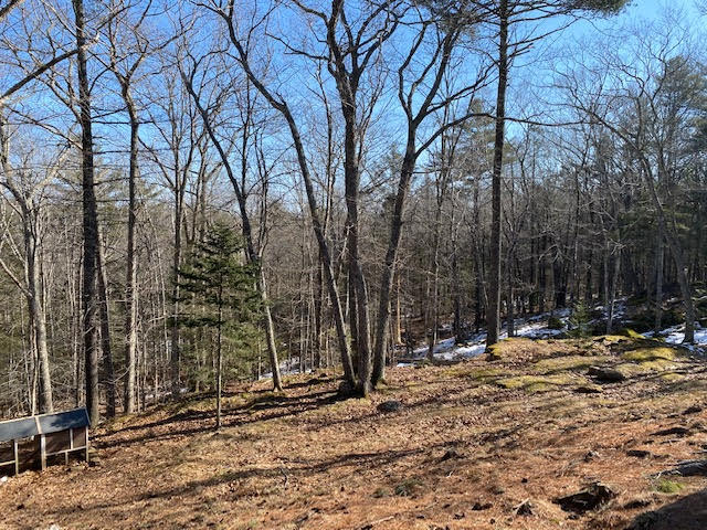 141 West Georgetown Road Georgetown, ME 04548 - Photo 58 of 68 Backyard
