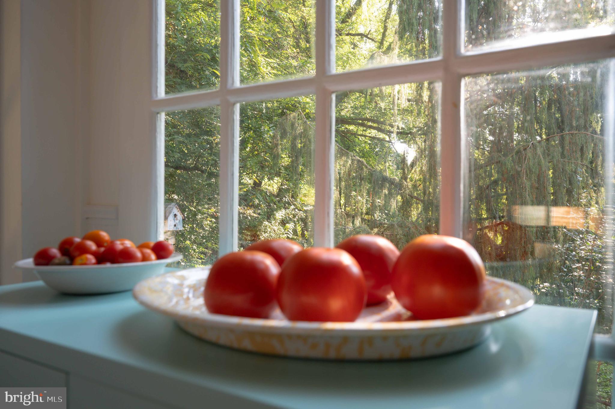 5805 Lochlea Road Baltimore, MD 21209 - Photo 5 of 37