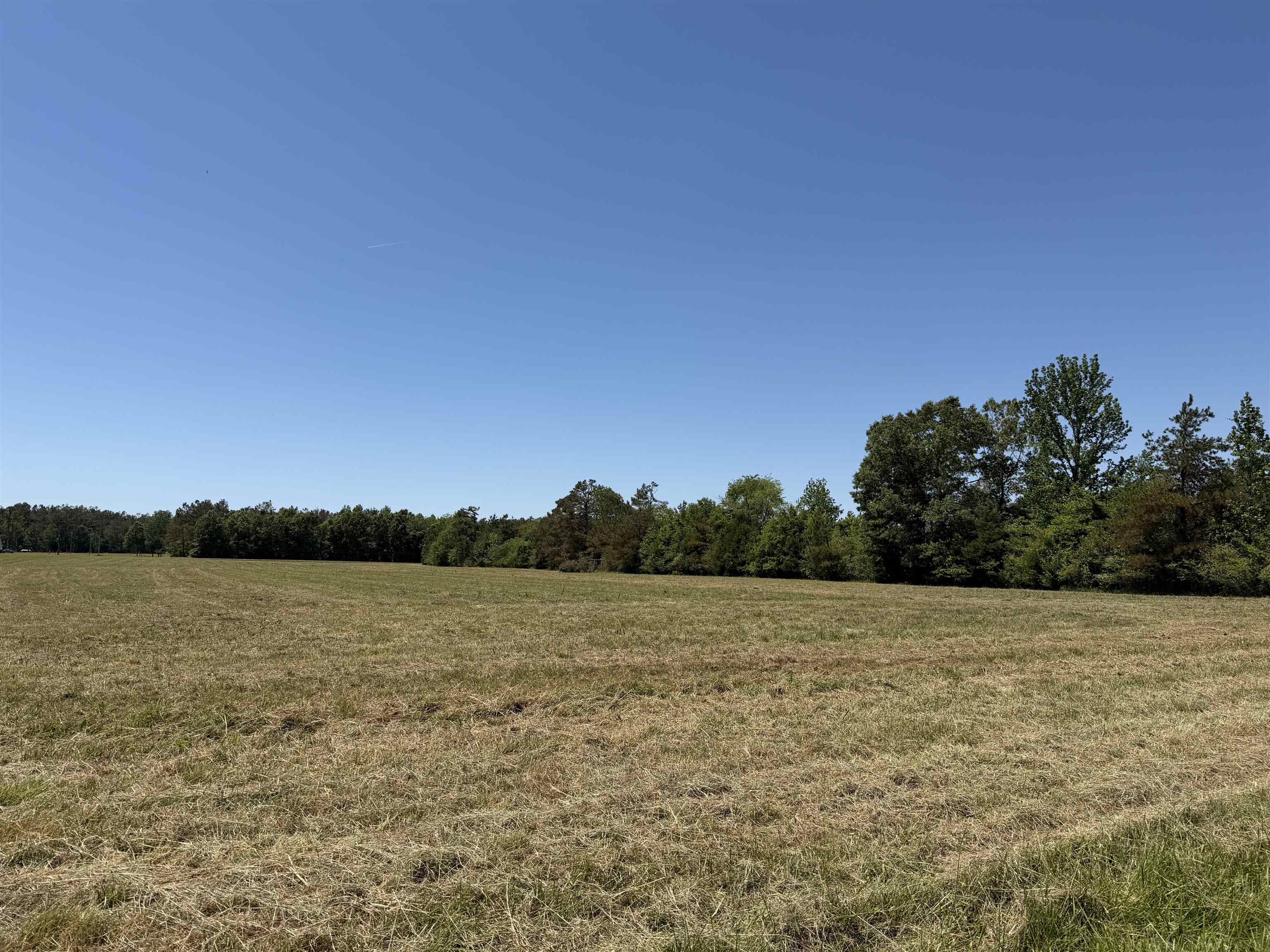5 Bethlehem Road Adamsville, TN 38310 - Photo 4 of 9