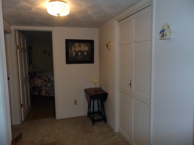 445 South Ithaca Street Ithaca, MI 48847 - Photo 59 of 83 1920553-a8a6aaed-6dd6-4d6d-b090-63f27b277201.JPG