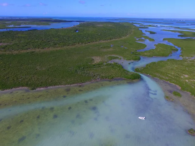 a view of a field with an outdoor space