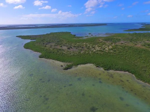 a view of a field with an ocean