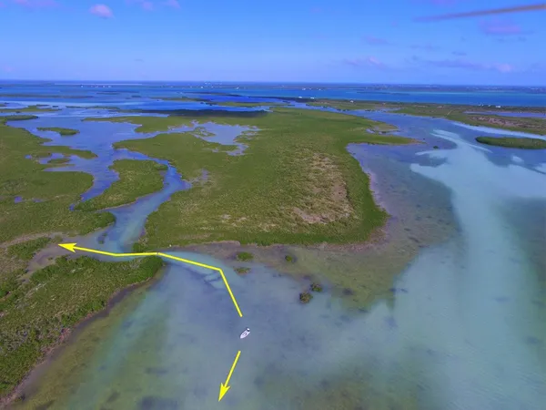 a view of an ocean beach