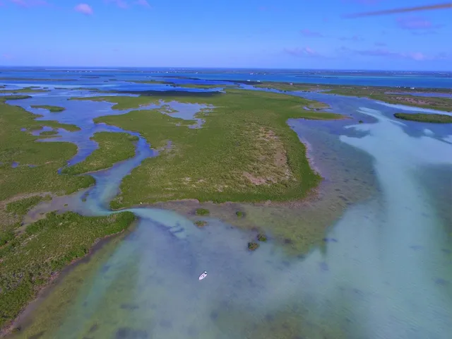 a view of an ocean beach