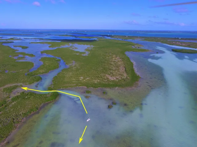 a view of an ocean beach