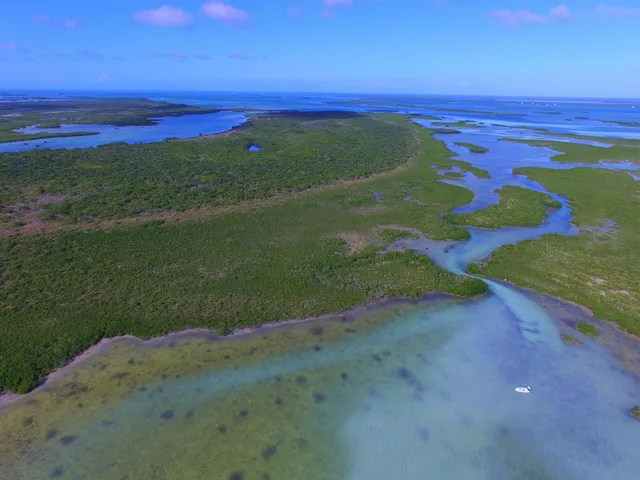 a view of an ocean and beach