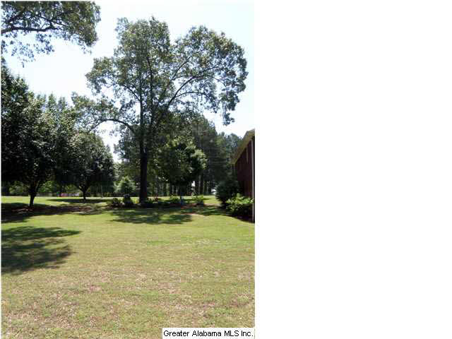 256 Overlook Drive Cleveland, AL 35049 - Photo 7 of 31