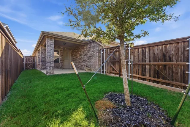 a view of a backyard with a large tree