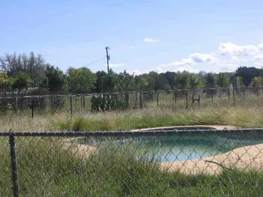 a view of a lake in middle of forest