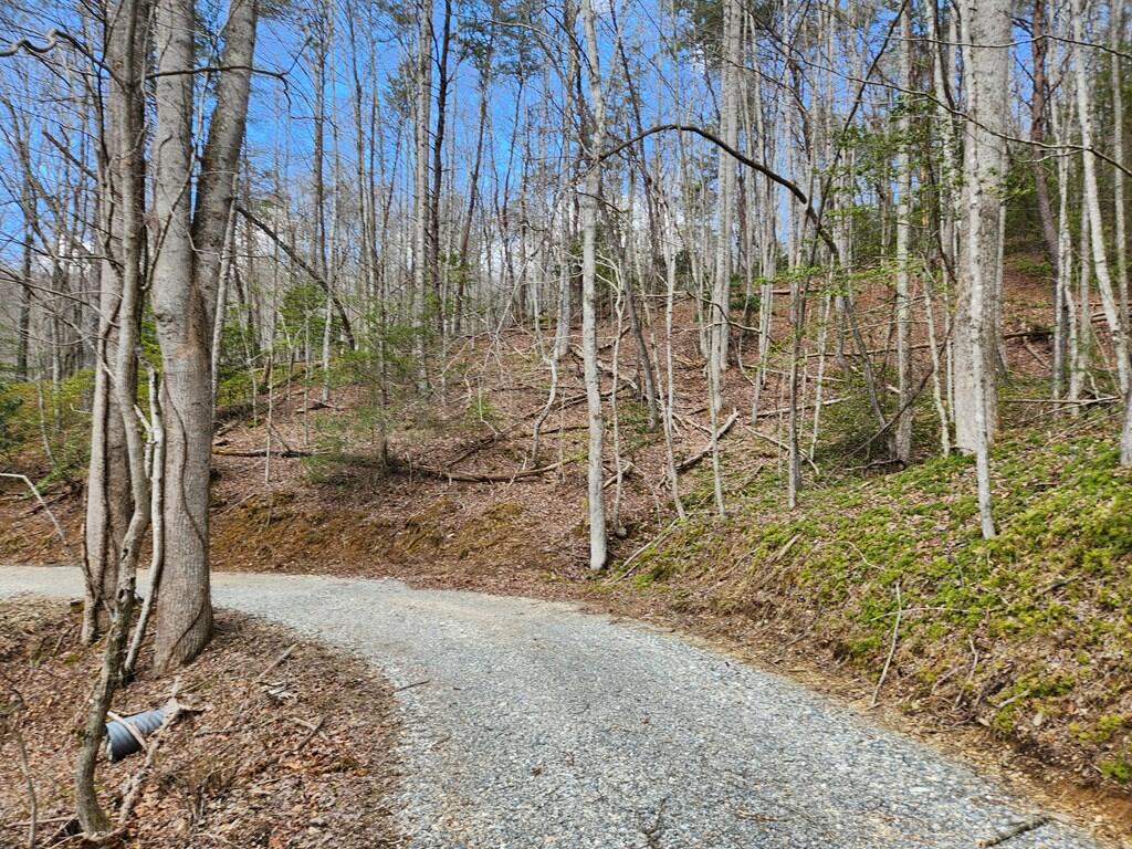 0 Camp Branch Road Topton, NC 28781 - Photo 30 of 41 Gallery Image 30